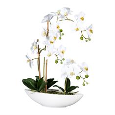 Orchidee weiß mit Schale, 60cm, Kunstpflanze